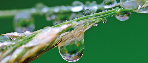 ivóvíz vizsgálat kútvíz csapvíz